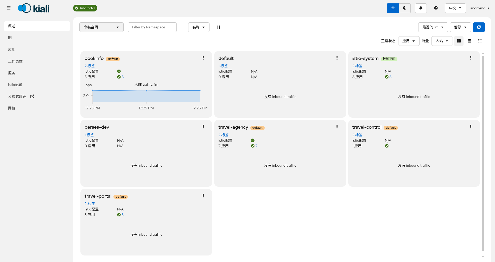 Overview page in Chinese